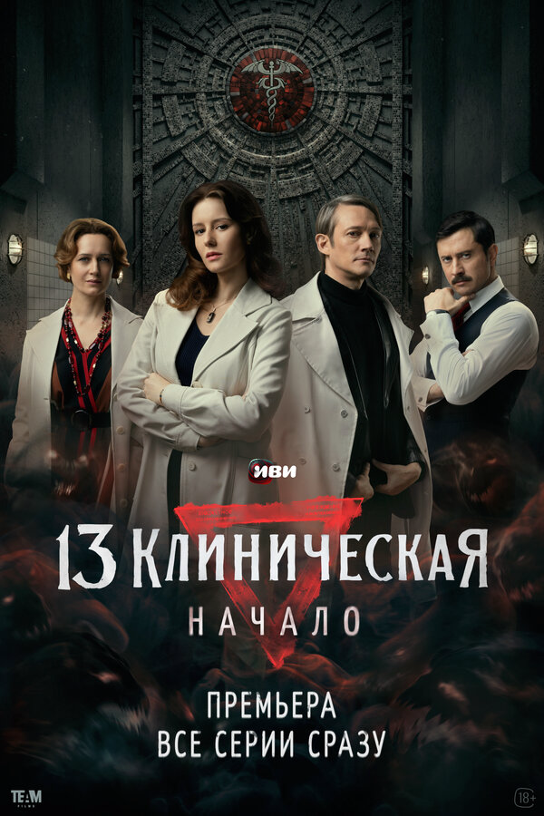 13 клиническая. Начало - постер сериала